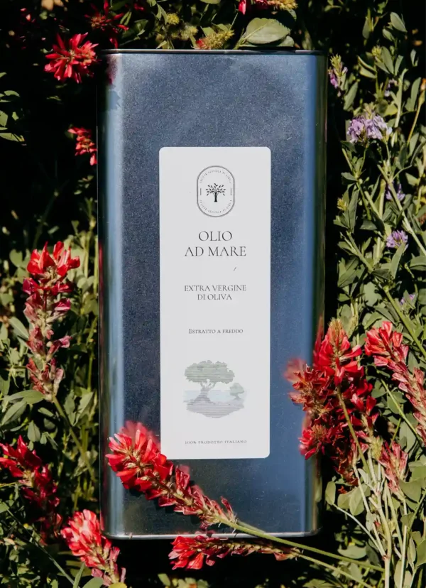 Miglior olio extravergine di oliva EVO